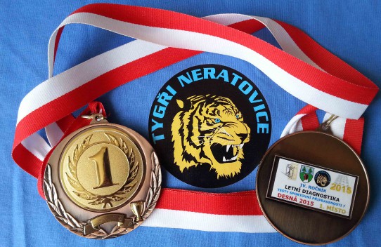diagnostika-medaile.jpg